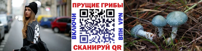Псилоцибиновые грибы мицелий Рыбинск